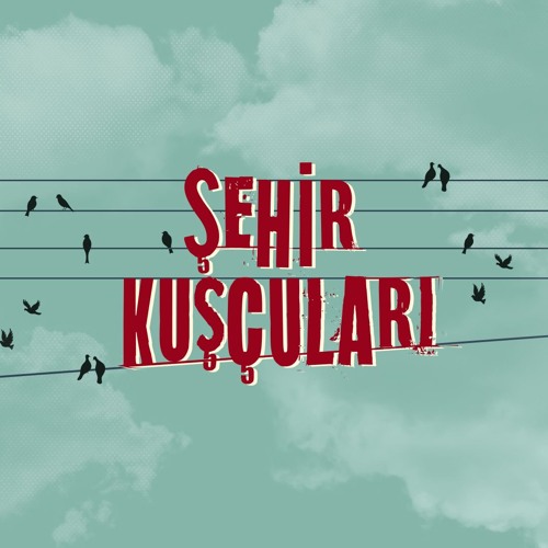 Şehir Kuşçuları